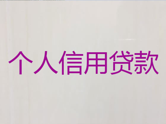 辛集市本地贷款公司
